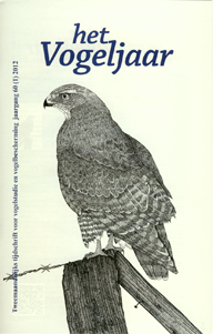 Illustratie: Buizerd, door Ronald Messemaker