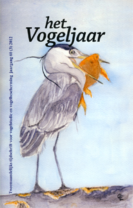 Illustratie: Blauwe Reiger, door Caroline Elfferich