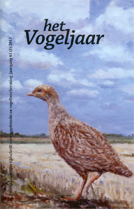 Illustratie: Patrijs, door Elske Scheen-van Santen Illustratie: Patrijs, door Elske Scheen-van Santen