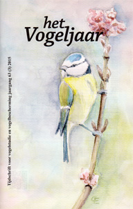 Illustratie: Pimpelmees, door Caroline Elfferich Illustratie: Pimpelmees, door Caroline Elfferich