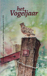 Illustratie: Veldleeuwerik, door Henk van Bork Illustratie: Veldleeuwerik, door Henk van Bork