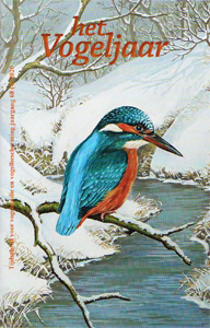 Illustratie: IJsvogel, door Dick Poppe Illustratie: IJsvogel, door Dick Poppe