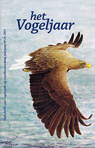Illustratie: Zeearend, door Henk van Bork Illustratie: Zeearend, door Herman van Bork
